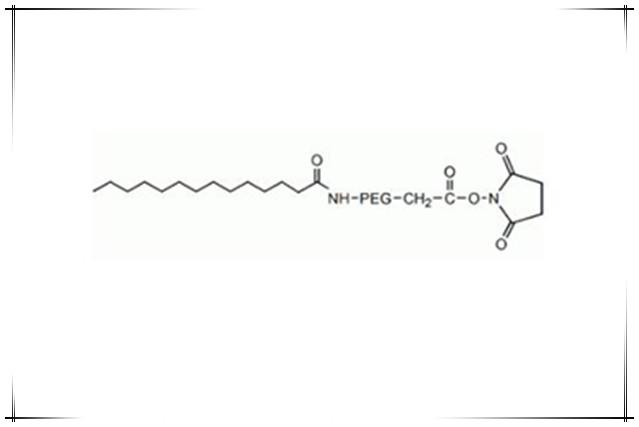 兩親性聚合物myristic acid-peg2k-nhs,肉豆蔻酸聚乙二醇活性酯