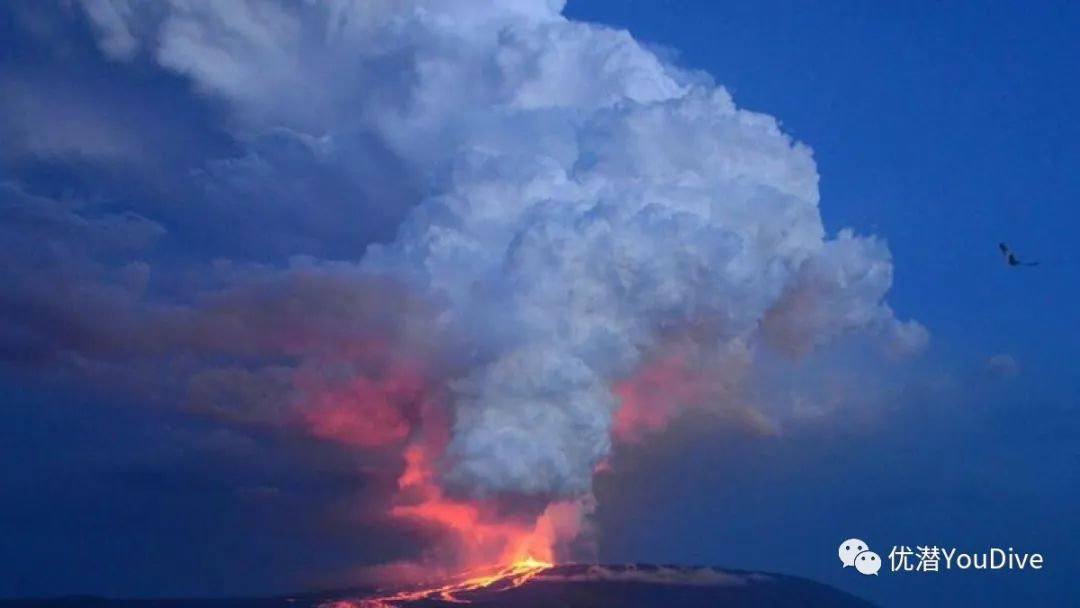 沃尔夫火山图片