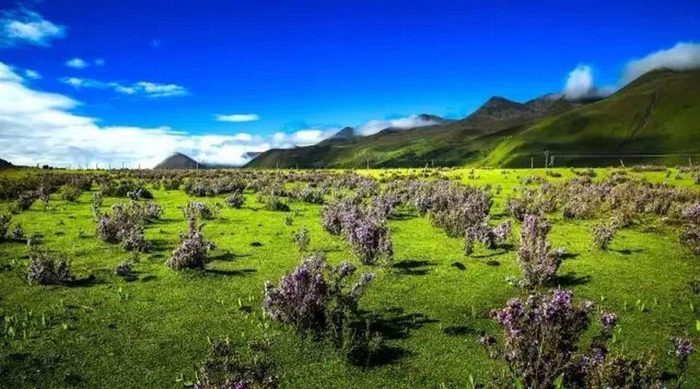 康定木雅圣地景区,是甘孜州第一座以民俗风情与自然风光相结合的旅游