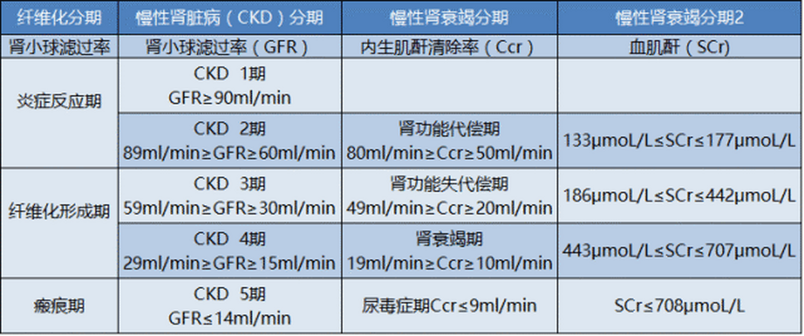 肌酐正常值是多少图片