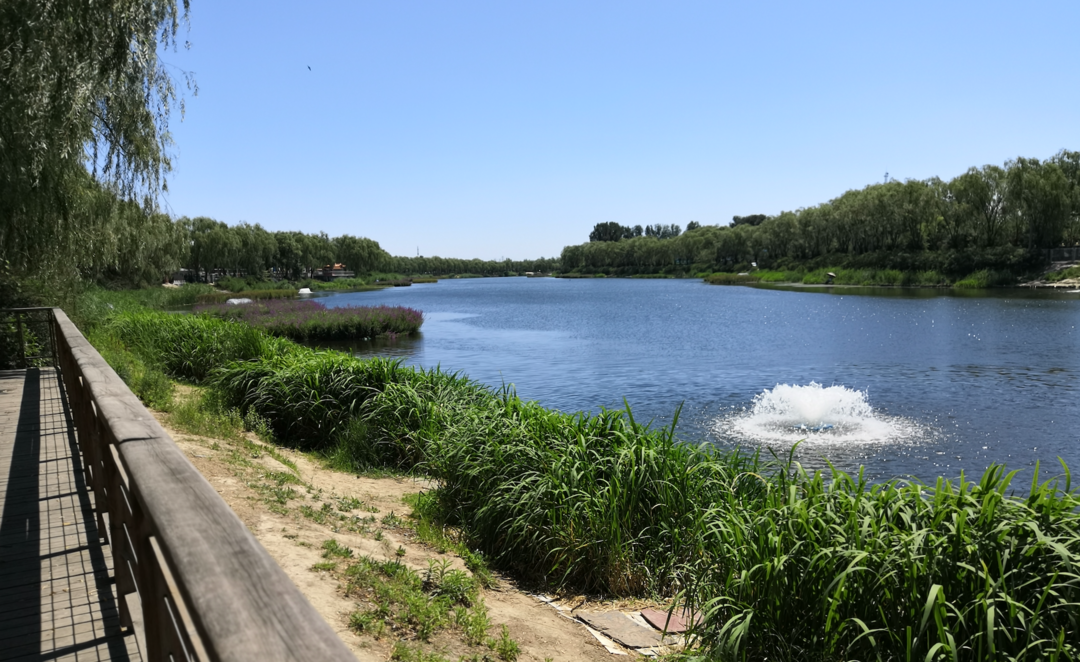 海淀这条河入围优美河湖!你的一票很关键!