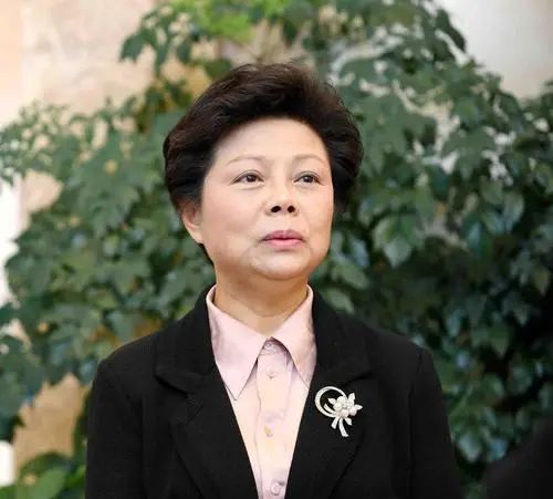 全国政协委员冉霞:在"准"和"实"上下足功夫