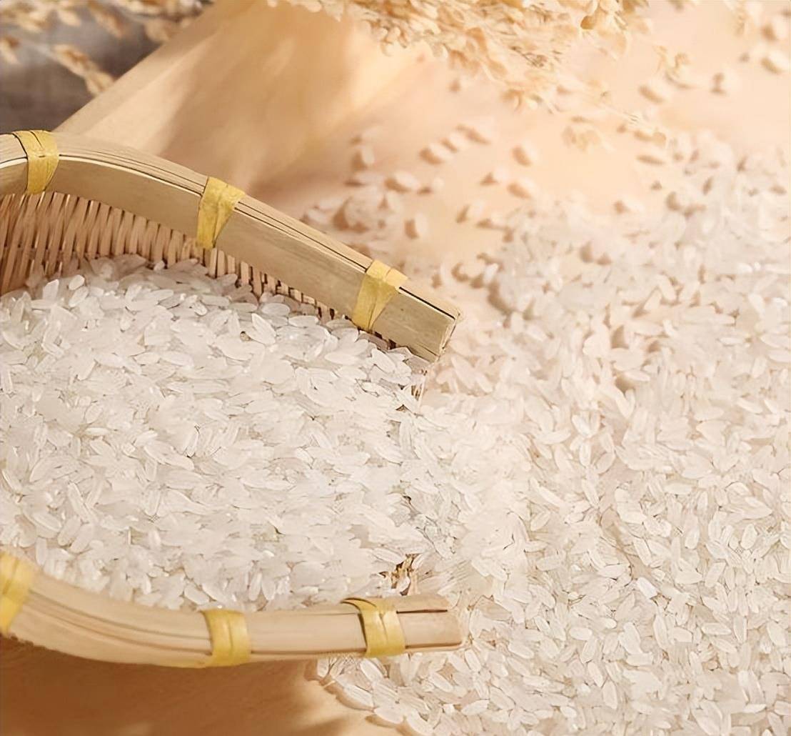 如何挑选好的五常大米