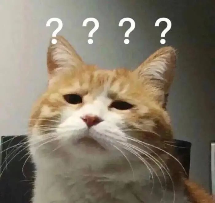 推荐早上5点半,上海7岁男孩独自带着闹钟赶地铁!网友:有前途