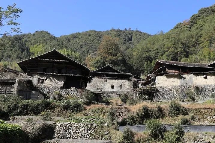 探村丽水庆元|白柘洋村,红色文化浓郁,古朴山居静美