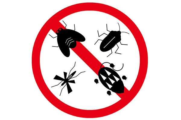 为什么要进行四害消杀,四害消杀有什么好处?