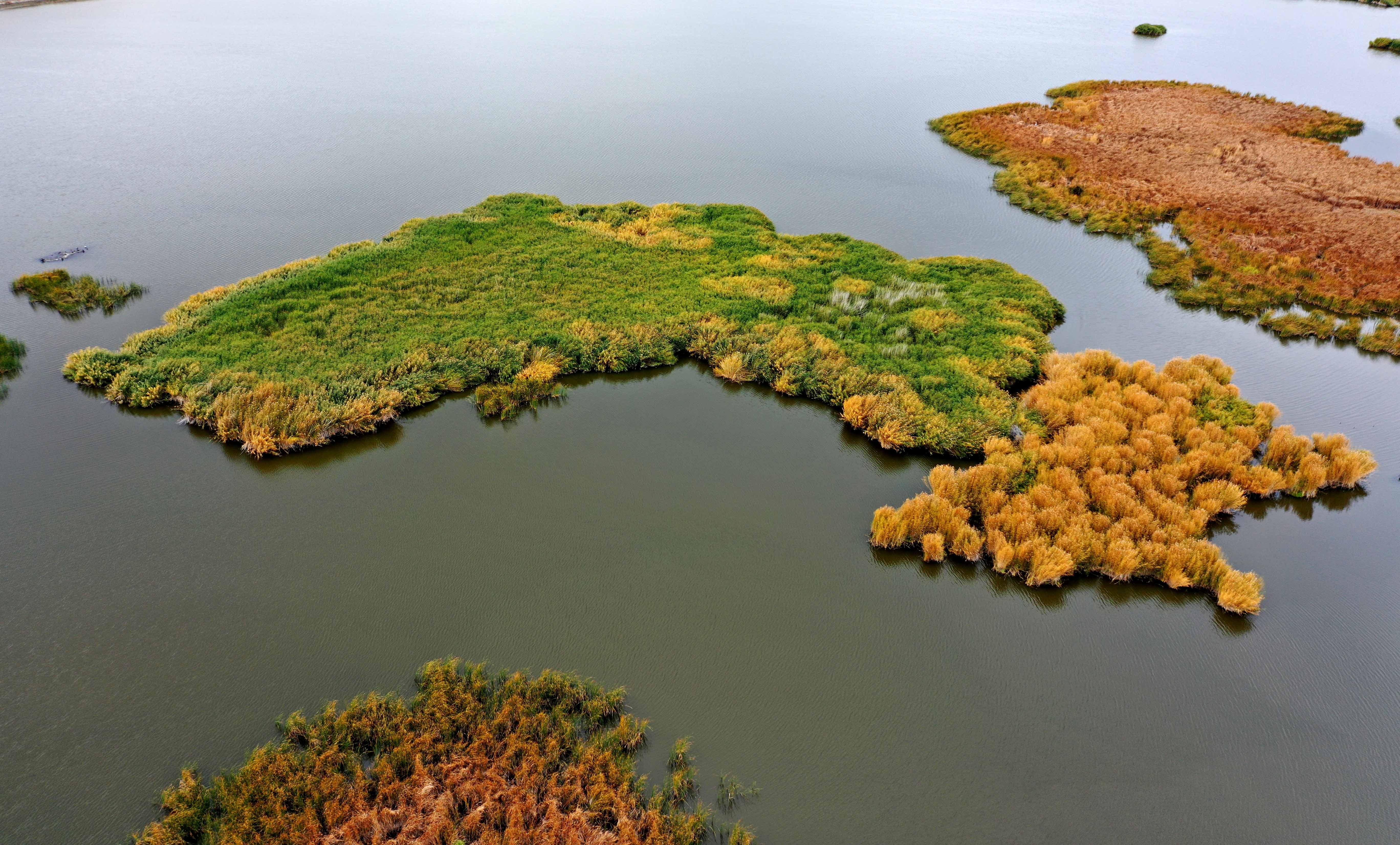 金秋时节 可可托海美景如画
