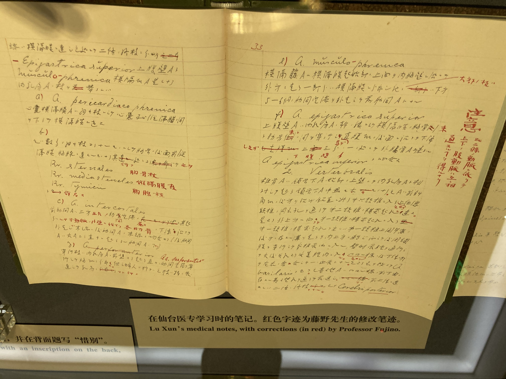 当时藤野先生对鲁迅讲义的红色批注,犹如一道光,照亮了异国备受冷遇的