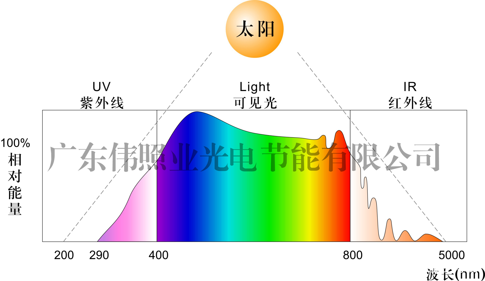 植物生长灯的光谱和光合作用的关系插图