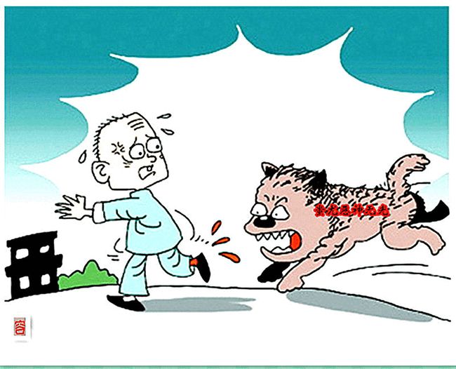 想起我们村那个被疯狗咬了的人