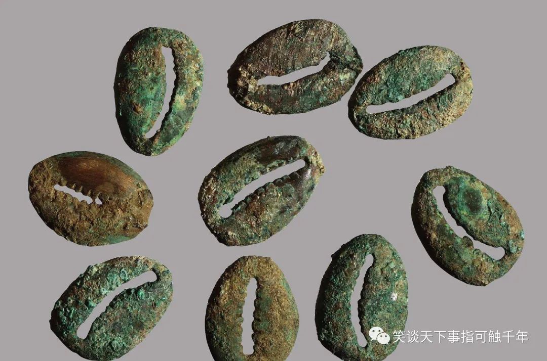 钱币博物馆系列:贝币