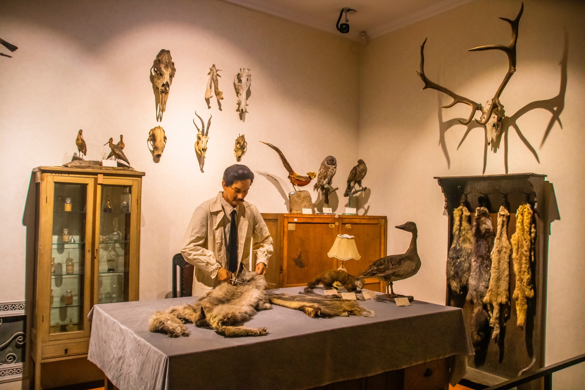 黑龙江省博物馆,哈尔滨旅游必打卡的地方,是亲子研学游的好去处