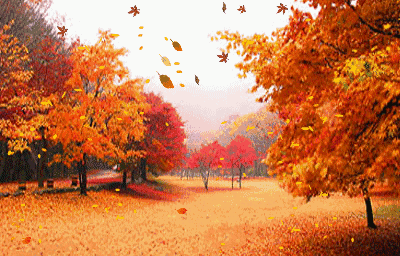 400_256gif 动态图 动图