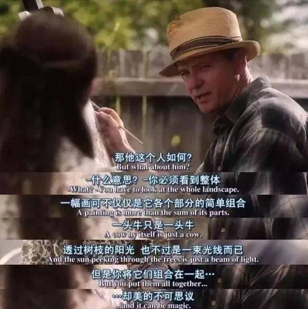 《怦然心动》书评:两个孩子的爱情与成长之旅