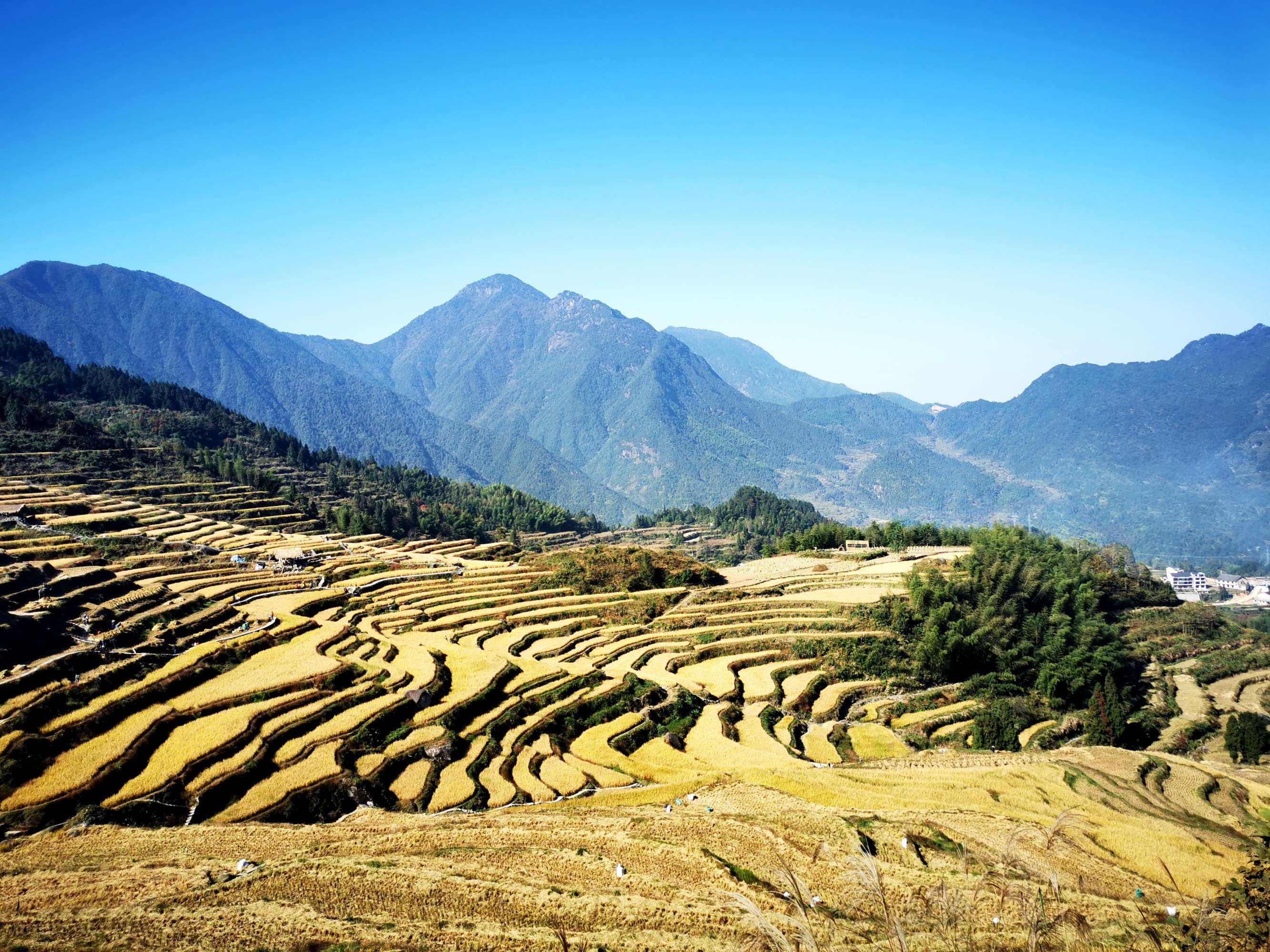 浙江乡村美景图片