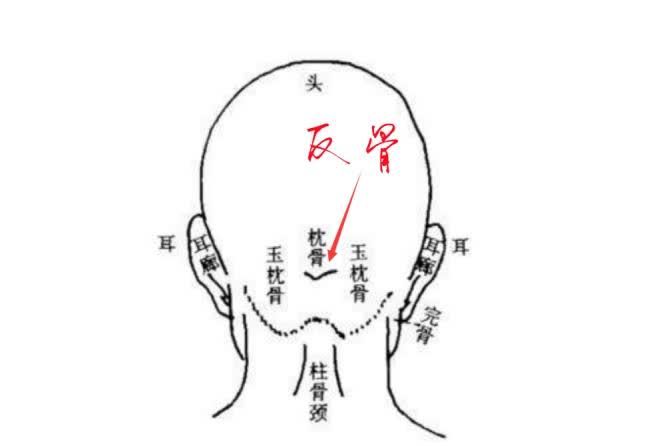 男人耳朵反骨有福图片