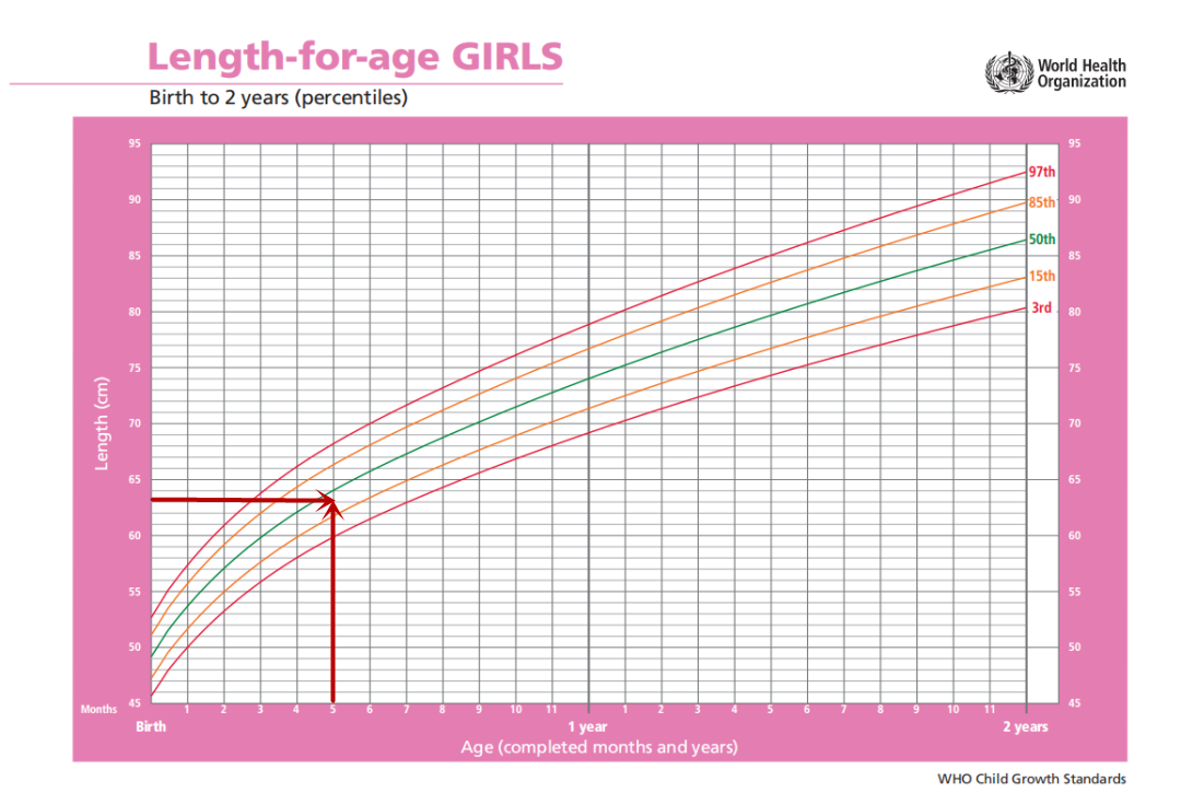 0-2 岁女童生长曲线(身高)参考图