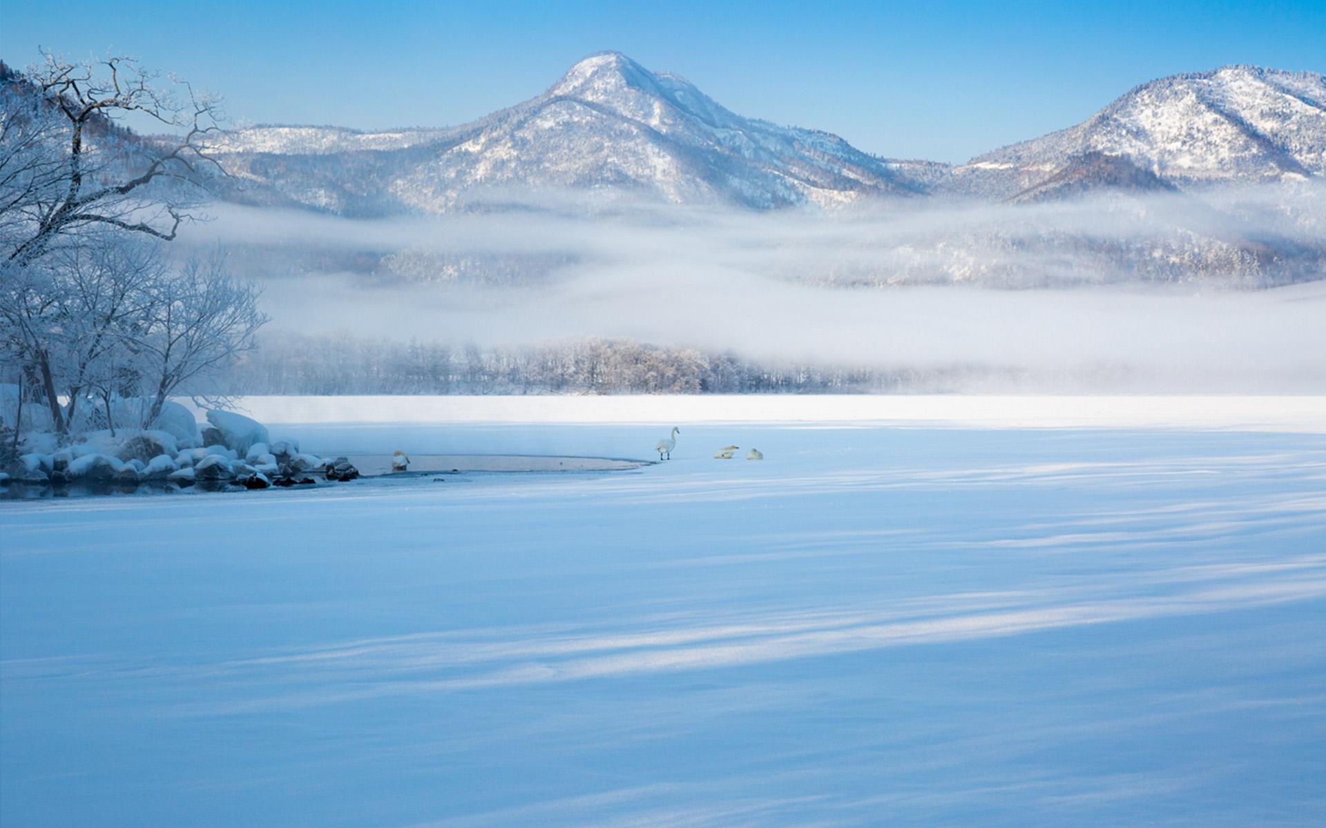 雪景 最美图片