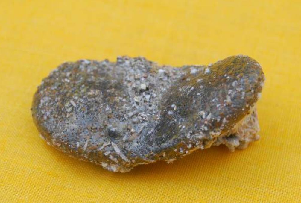 高僧鸠摩罗什:7岁随母亲出家,2次被逼破色戒,圆寂化作舍利子