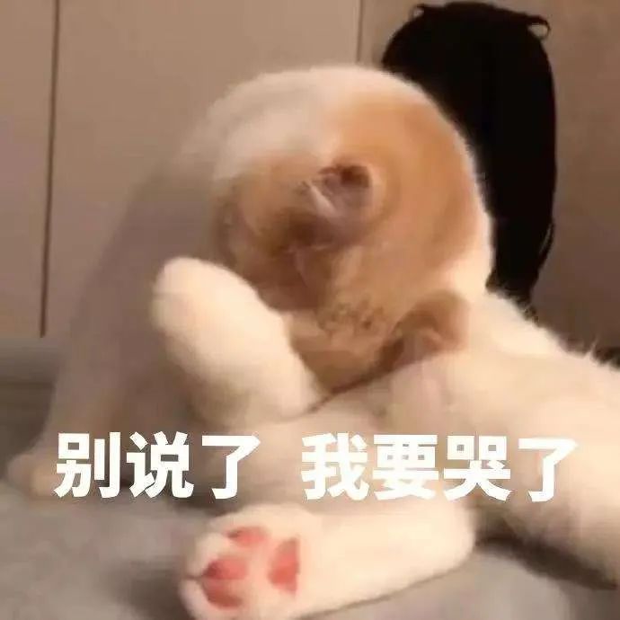 推荐小朋友长胖后穿不上园服，为穿上衣服小脸都在使劲！网友：太拼了