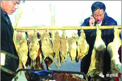 小官巨贪!北京野保站原站长获刑13年,4912万元财产来源不明