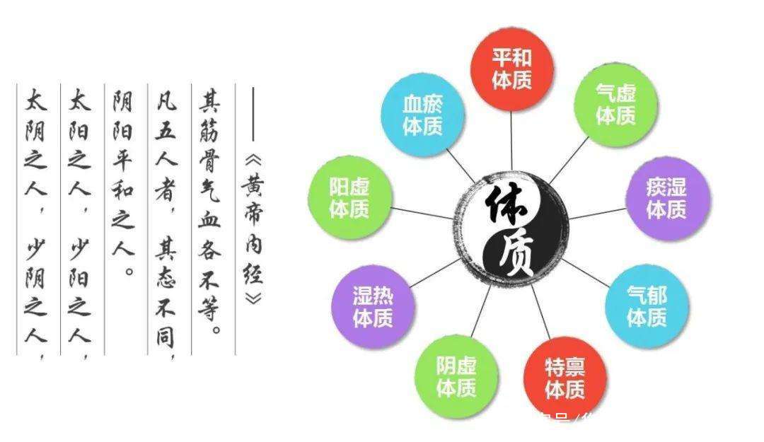 体质养生小知识大全(体质养生小知识大全集)