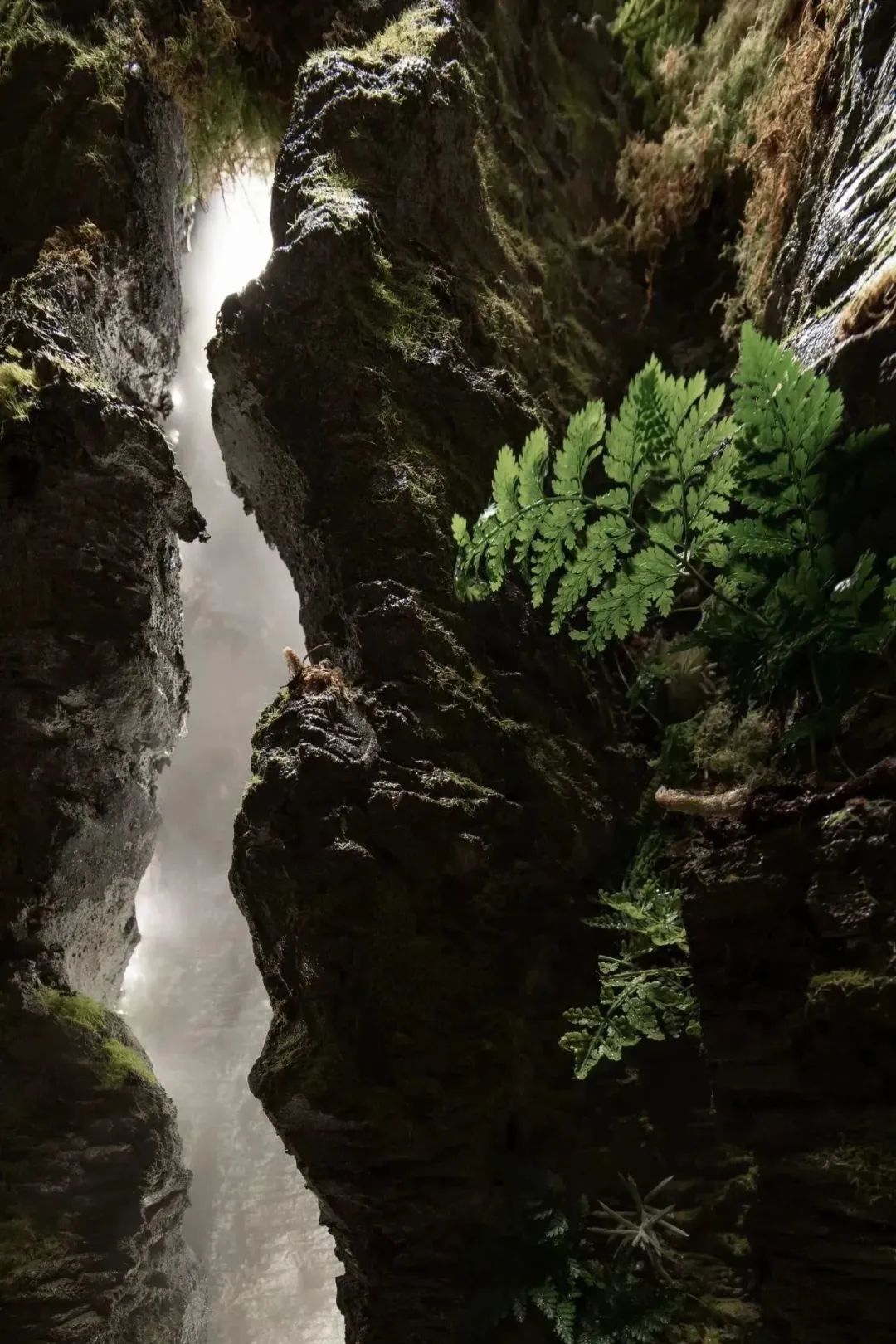 佛山中海山语湖:融景造物,灵感筑家