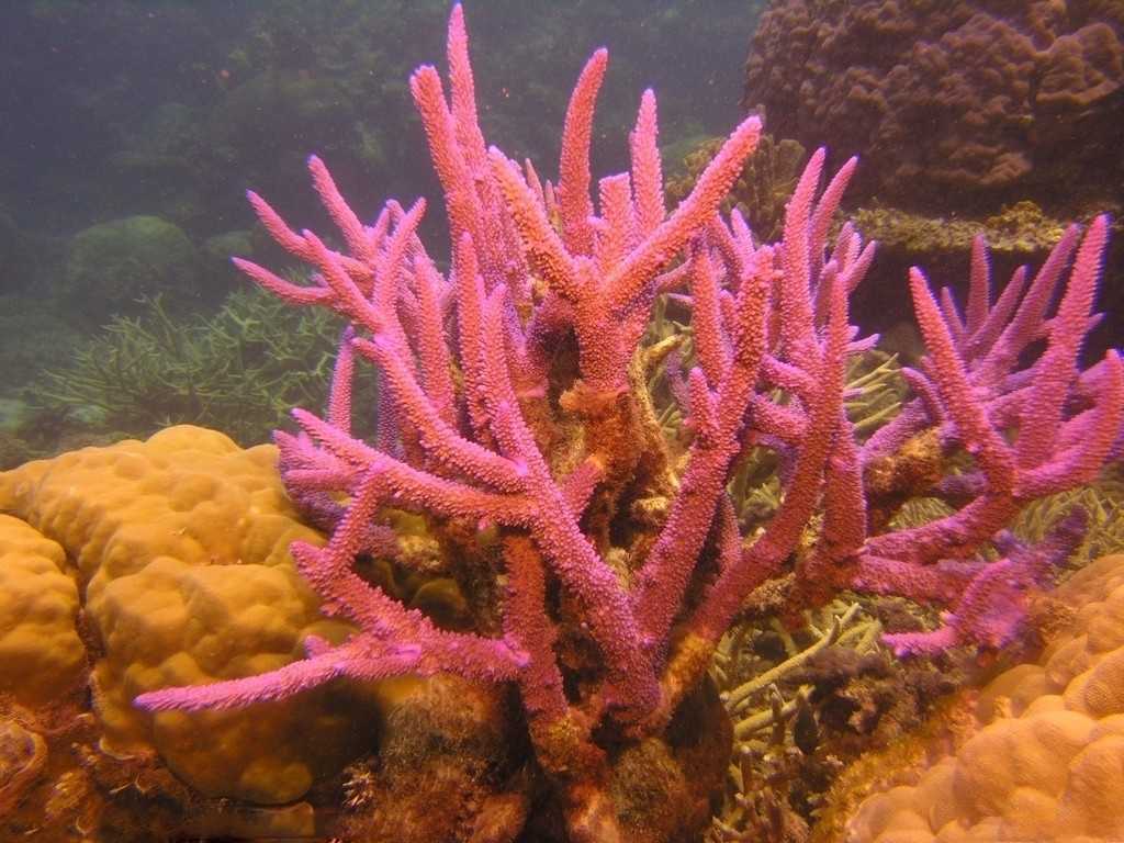 21条猎奇冷知识!全部真实存在,却容易使人混淆