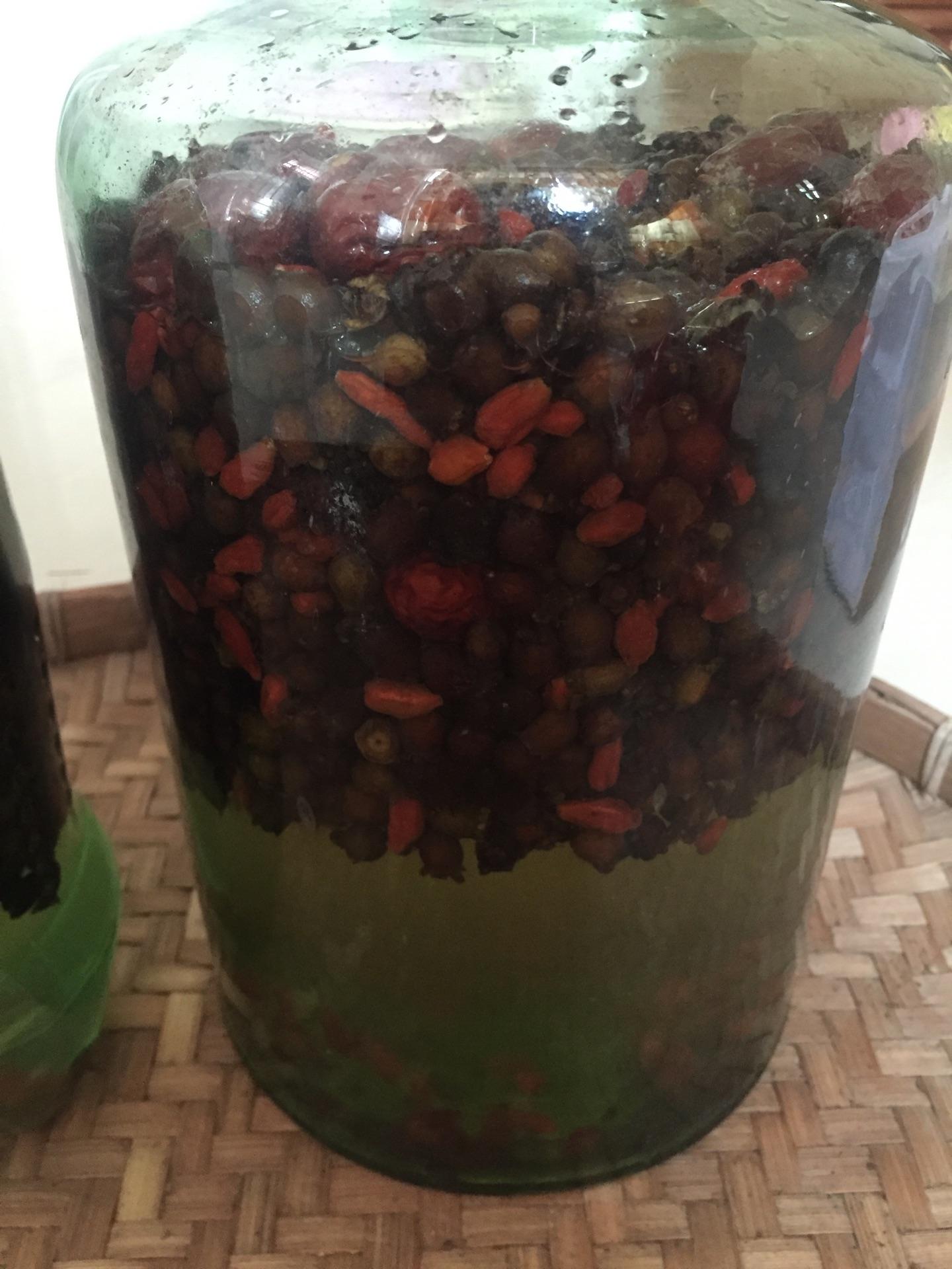 农村山上常见的12种野果子,可以新鲜的吃,也可以用来泡酒