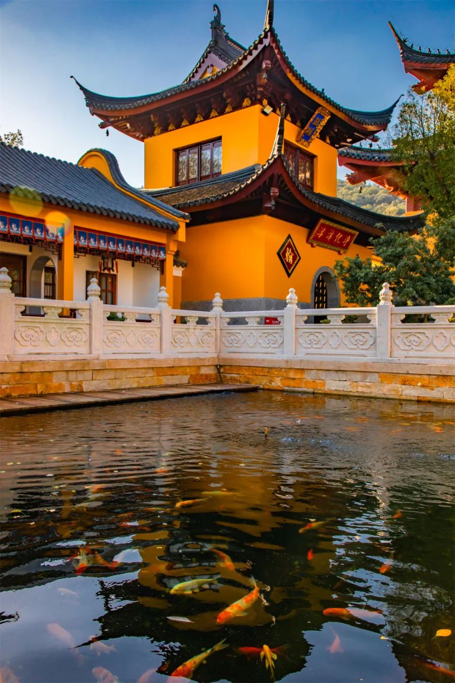 5.19 中国旅游日|诗和远方尽在南太湖景区