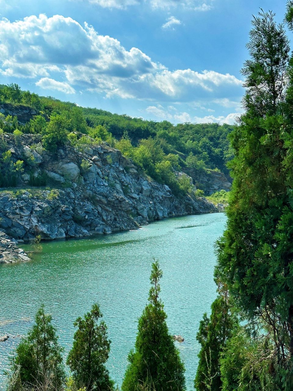 不是新西兰|是锦州海湾山15 草坪 海岸线 森林尽收眼底的海湾山美