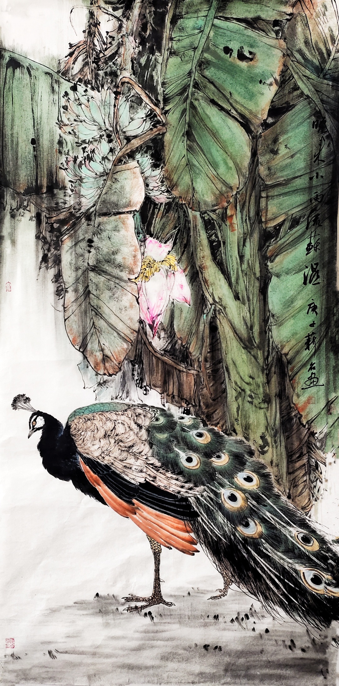 真迹展览中国美术家协会会员陈薪名花鸟画作品欣赏