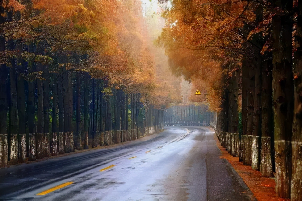 温泉季开启丨被游客遗忘的江浙沪秋日最美小县城
