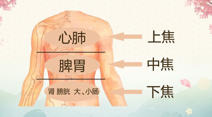三焦不畅,浊气难降,一个打通三焦的方子,让你气机通畅