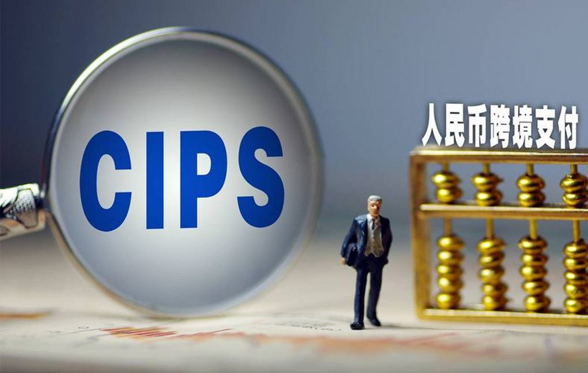 CIPS系统图片