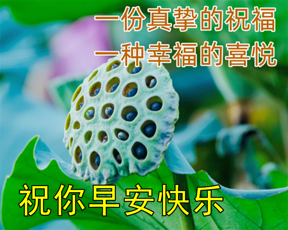 最美早安愉快图片带字 最新早上好开心祝福表情图片