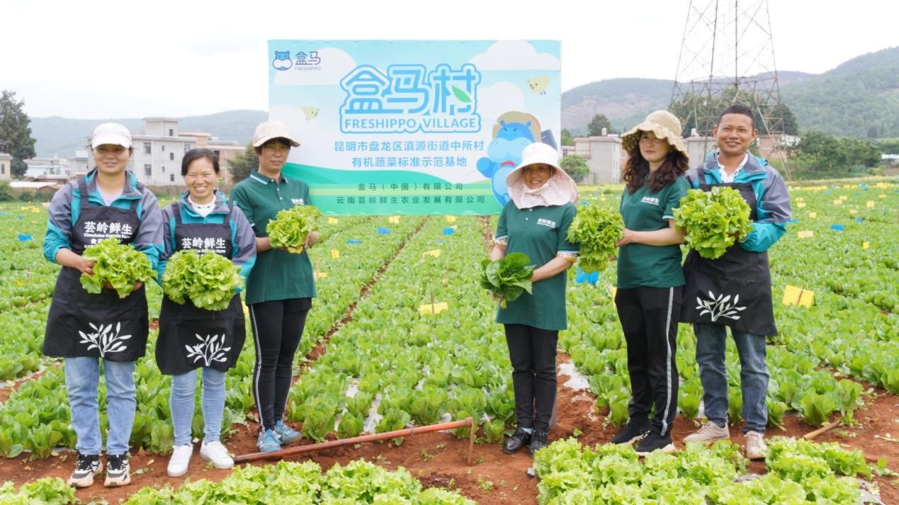 国泰产险:完善"有机食品"服务体系,保障高品质生活