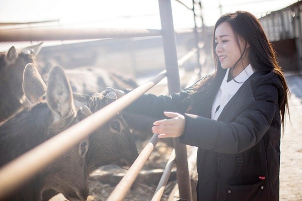 吉林90后美女王娇,接手亏损的梅花鹿场,低投入换来4000万高收益