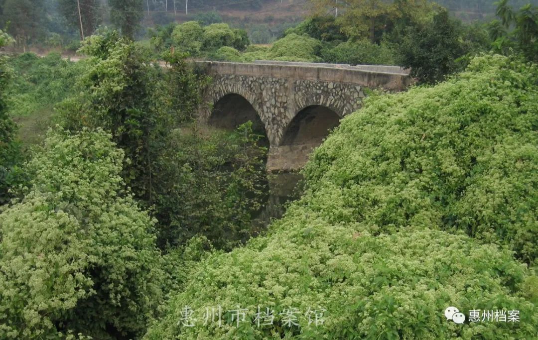 惠州白石村图片