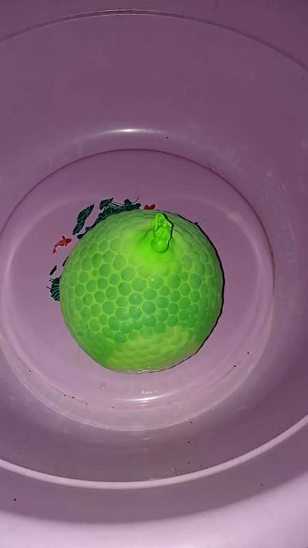 人生总是起起伏伏,命运总是峰回路转!-度小视