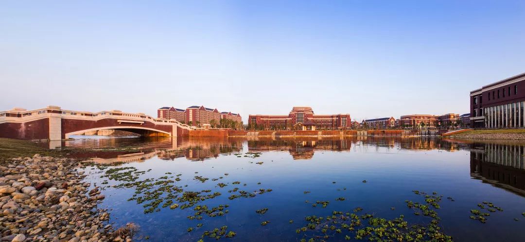 2004-2022,上海的临港大学城18岁了!