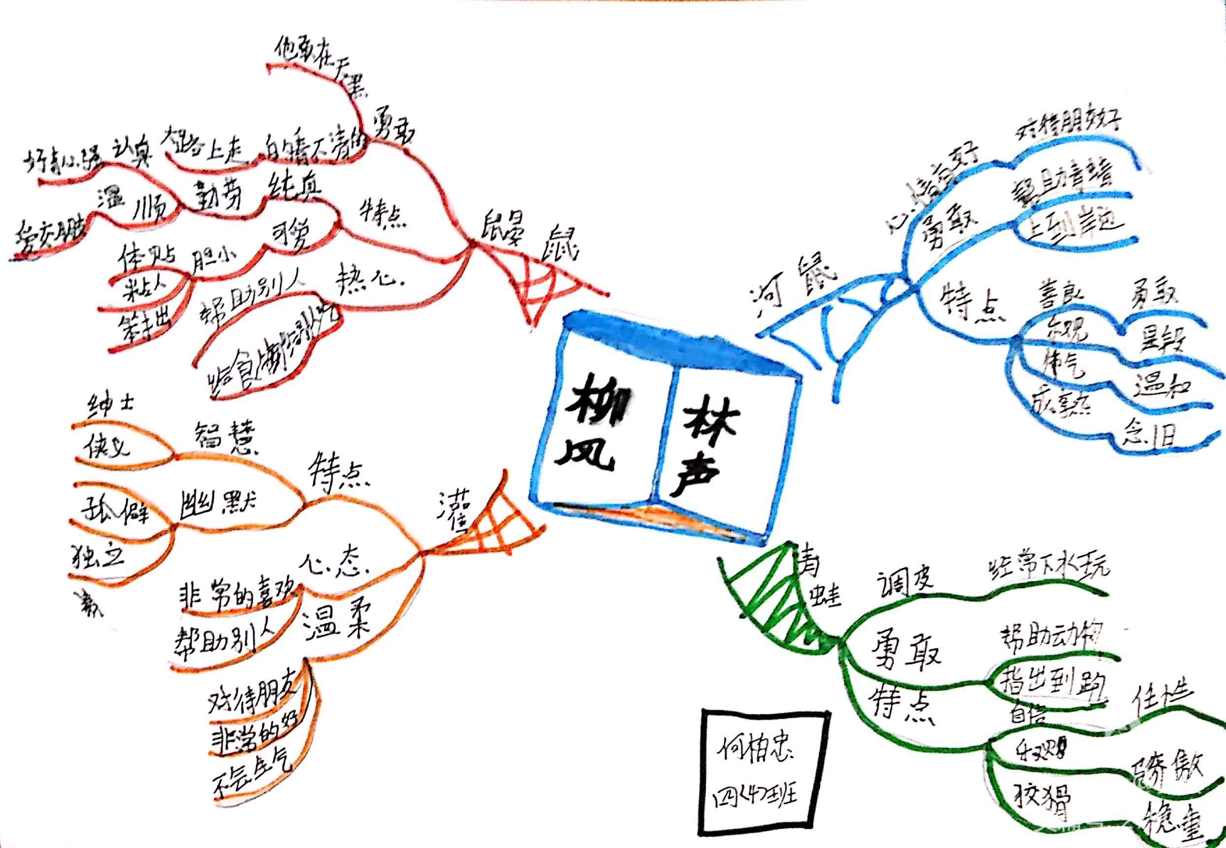 柳林风声思维导图简单图片