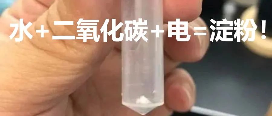 二氧化碳变淀粉图片