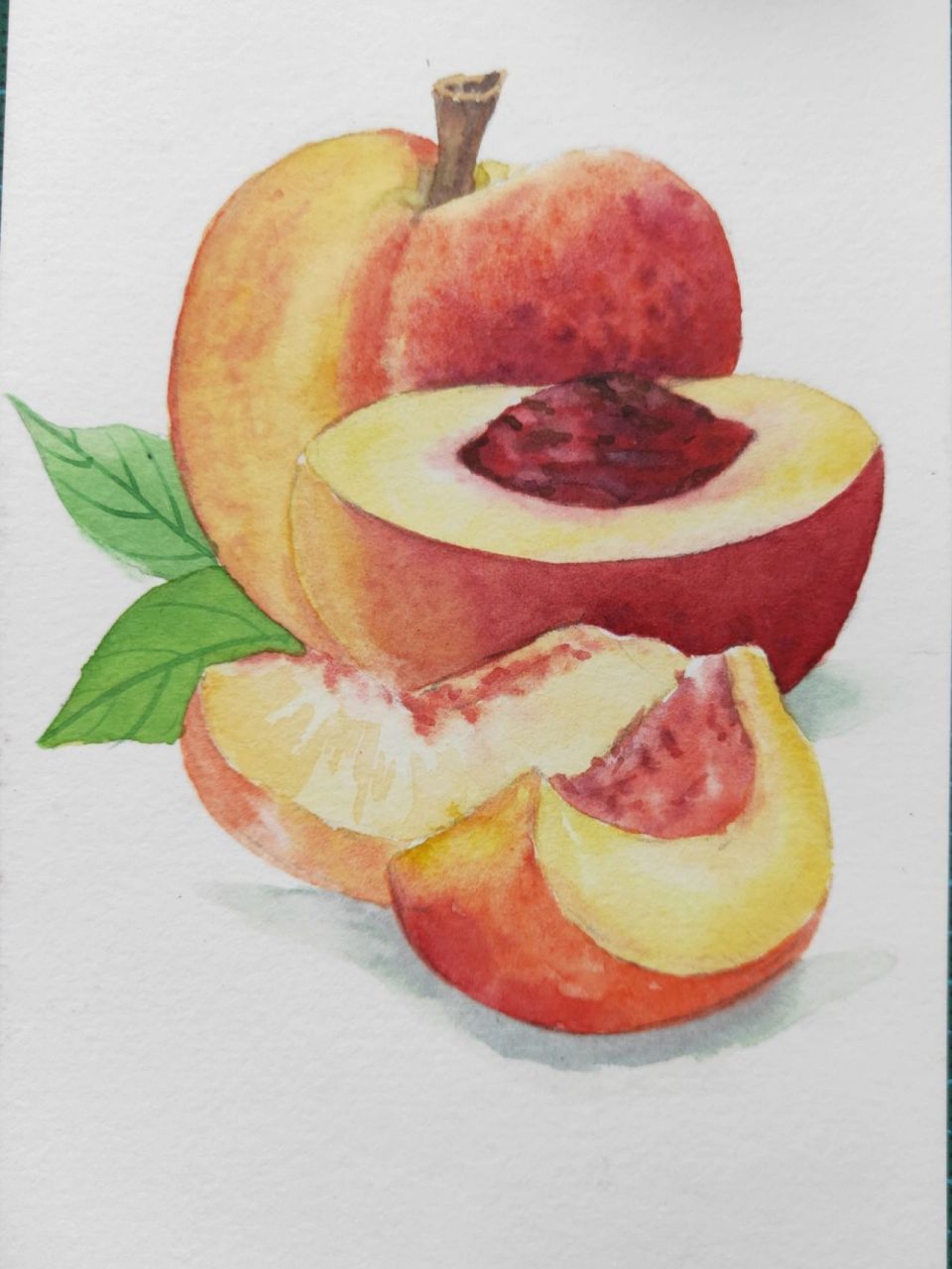 水彩桃子 附步骤图 每日一画,今天练习桃子哦,跟着画起来吧~ #画一个