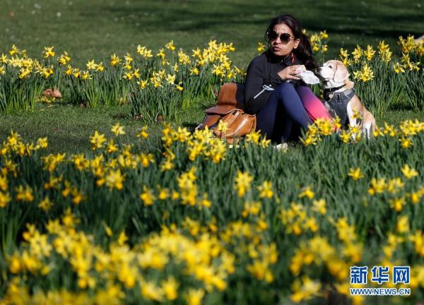 英国伦敦:春的讯息