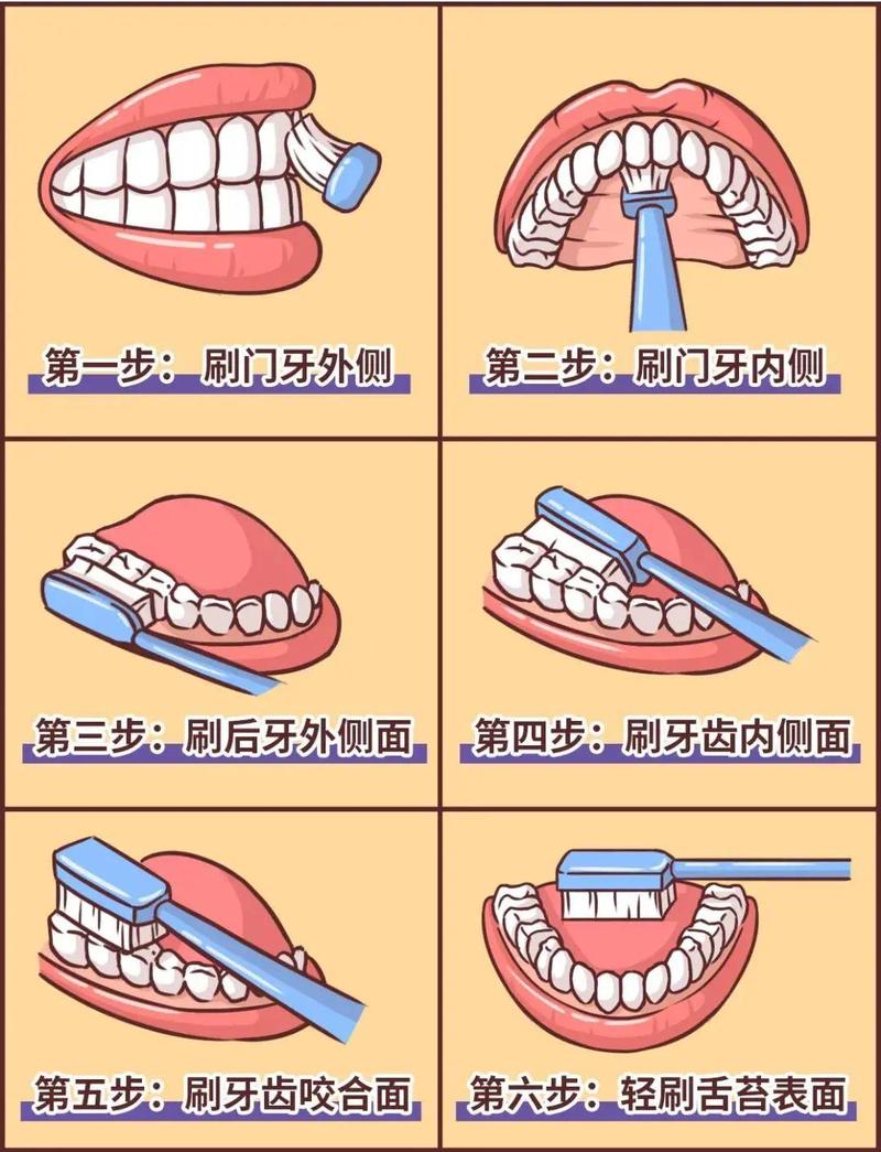 正确刷牙八个步骤图片