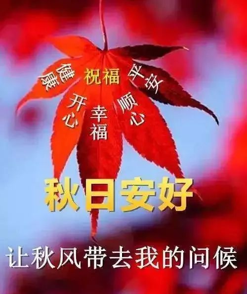 2020秋季早安短信问候祝福语