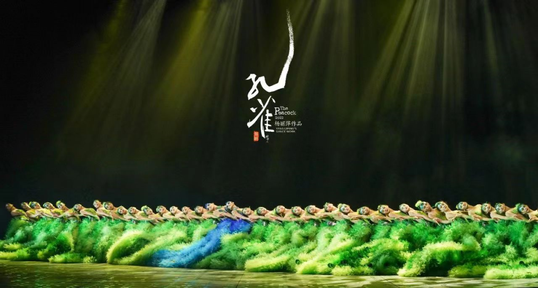 首届华彩艺术节启幕 倾情绽放湾区艺术活力