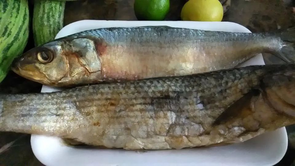 致命美食诱惑:埃及人爱吃的臭咸鱼