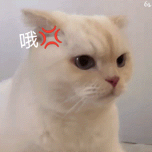 304_304gif 动态图 动图